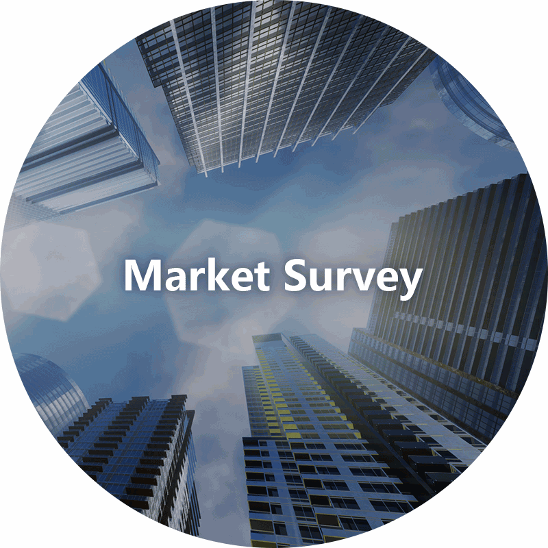 Survey sa Market